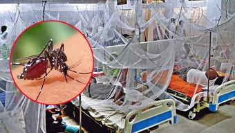 ডেঙ্গু আক্রান্ত হয়ে আরও ৪ জনের মৃত্যু