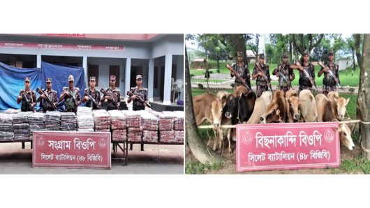 গোয়াইনঘাট সীমান্ত থেকে প্রায় দেড় কোটি টাকার ভারতীয় পণ্য-পশু জব্দ
