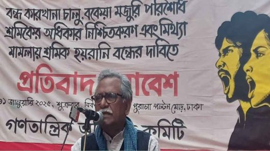 অন্তর্বর্তী সরকার সংস্কার কোথায় করছে প্রশ্ন তুললেন আনু মুহাম্মদ