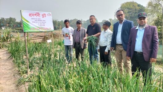 শ্রীমঙ্গলে গ্রীষ্মকালীন পেয়াজ চাষে সফল হলেন চাষি