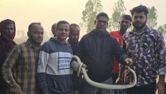 শ্রীমঙ্গলে জালে আটকা পড়লো দাঁড়াশ সাপ