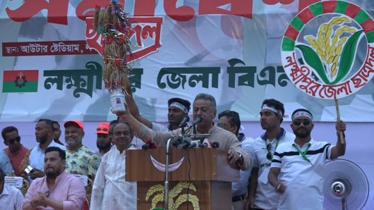 স্থানীয় সরকার নির্বাচন দেওয়ার ক্ষমতা নেই অন্তর্বর্তীকালীন সরকারের: আমির খসরু