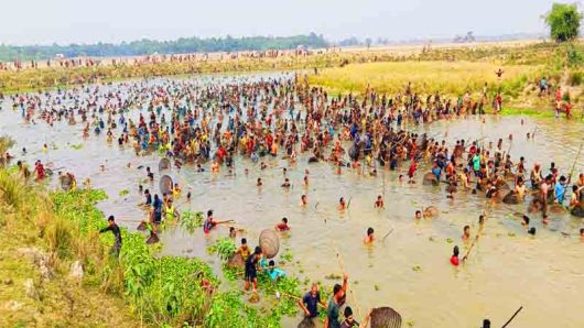 হরিপুর বাওড় ডোয়ার বিলে ঐতিহ্যবাহী পলো বাওয়া উৎসব পালন