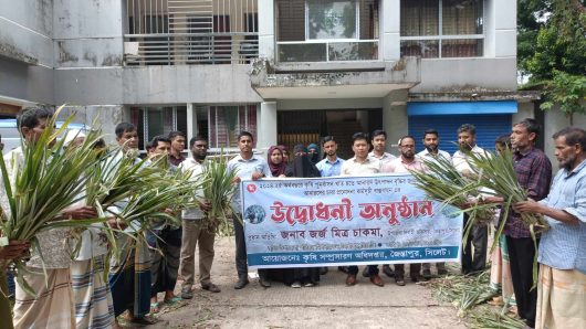 জৈন্তাপুরে কৃষকদের মাঝে আনারসের চারা বিতরণ