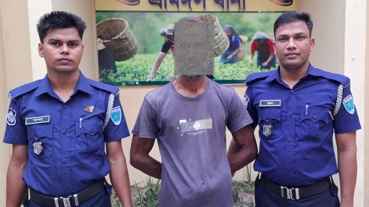 শ্রীমঙ্গলে পল্লিবিদ্যুৎ কর্মচারীকে মারধর, আটক ১