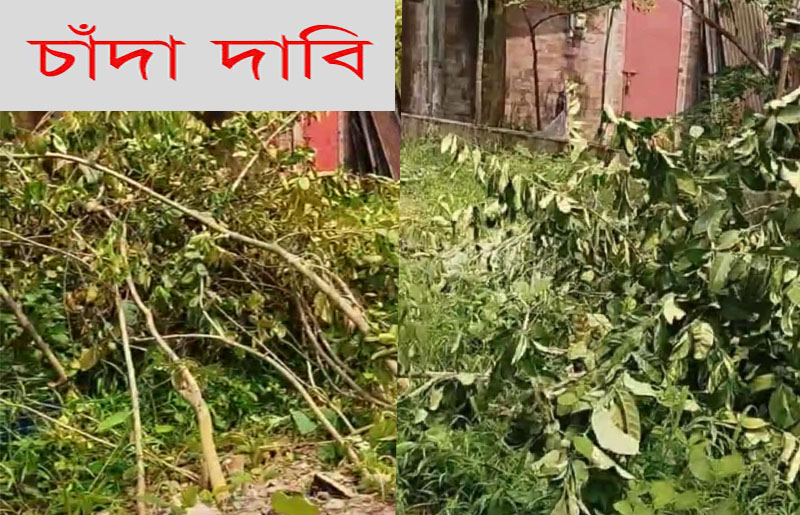 সিলেটে ভাই হয়ে বোনের কাছে বিশ লক্ষ টাকা চাঁদা দাবি, শংকিত প্রবাসী পরিবার !