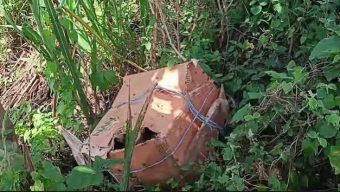 তিনটি কার্টনে মিলল ছয় টুকরো লাশ