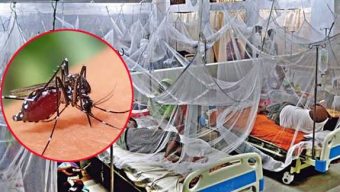 ডেঙ্গুতে আক্রান্ত হয়ে আরও ৫ জনের মৃত্যু