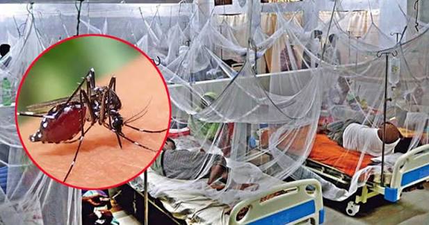 ডেঙ্গুতে আক্রান্ত হয়ে আরও ৫ জনের মৃত্যু