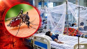 দেশে ডেঙ্গুতে আরো ছয়জনের মৃত্যু
