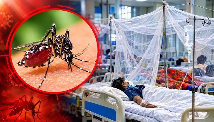 দেশে ডেঙ্গুতে আরো ছয়জনের মৃত্যু